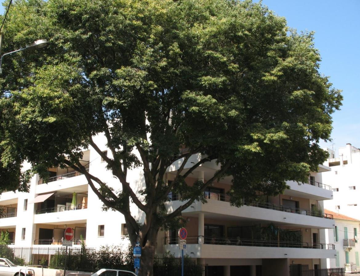 Spacious Luxury Apt, 12 Min Walk To Croisette Beach And Conf Centre Канни Екстер'єр фото